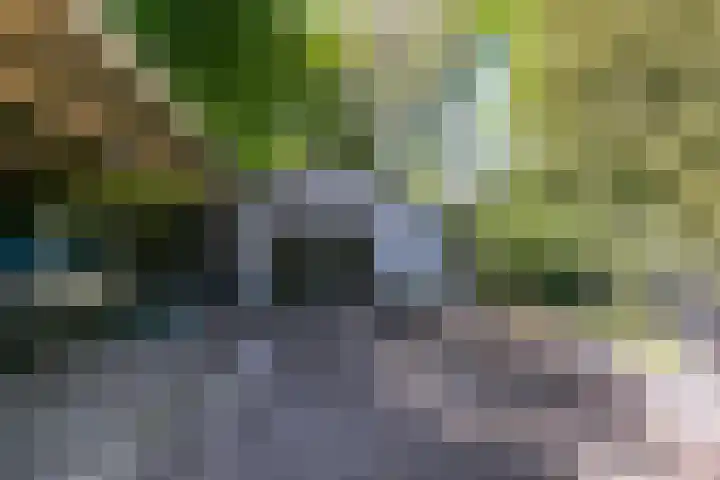 Parallelweg 3 Hunsel thumbnail 26