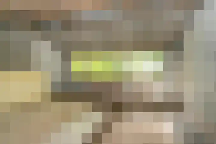 Parallelweg 3 Hunsel thumbnail 27