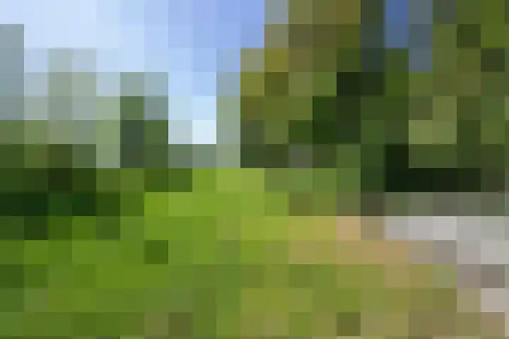 Parallelweg 3 Hunsel thumbnail 28