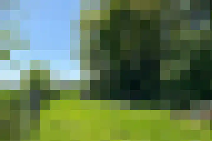 Parallelweg 3 Hunsel thumbnail 29