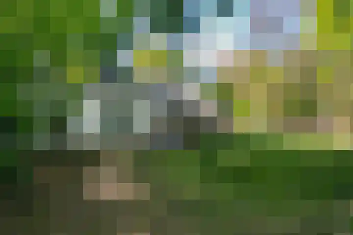 Parallelweg 3 Hunsel foto 3