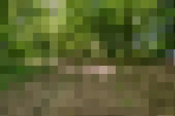 Parallelweg 3 Hunsel thumbnail 30