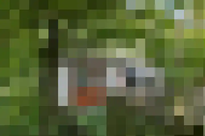 Parallelweg 3 Hunsel thumbnail 32