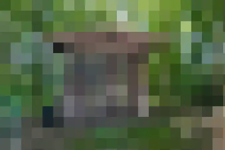 Parallelweg 3 Hunsel thumbnail 33