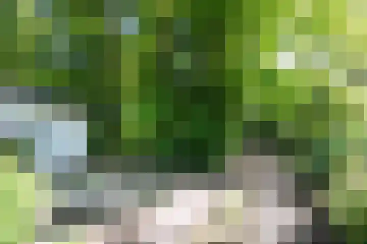 Parallelweg 3 Hunsel thumbnail 36