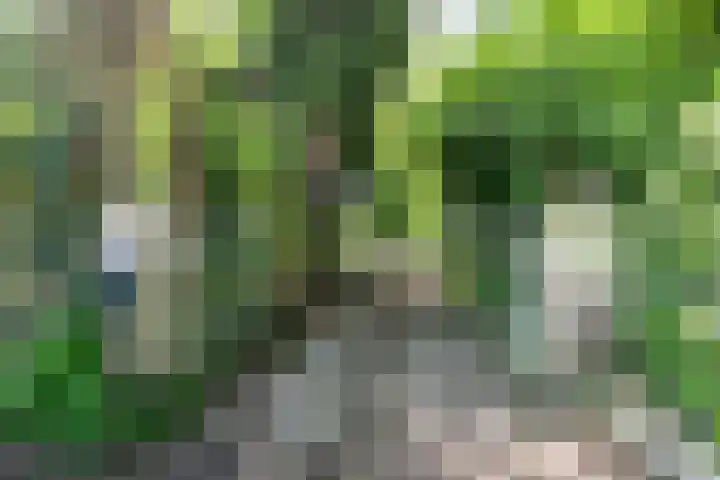 Parallelweg 3 Hunsel thumbnail 37