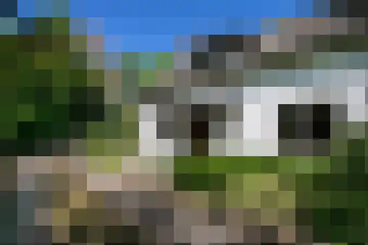 Parallelweg 3 Hunsel thumbnail 4