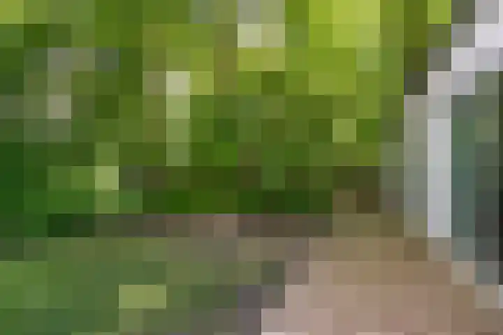 Parallelweg 3 Hunsel thumbnail 5