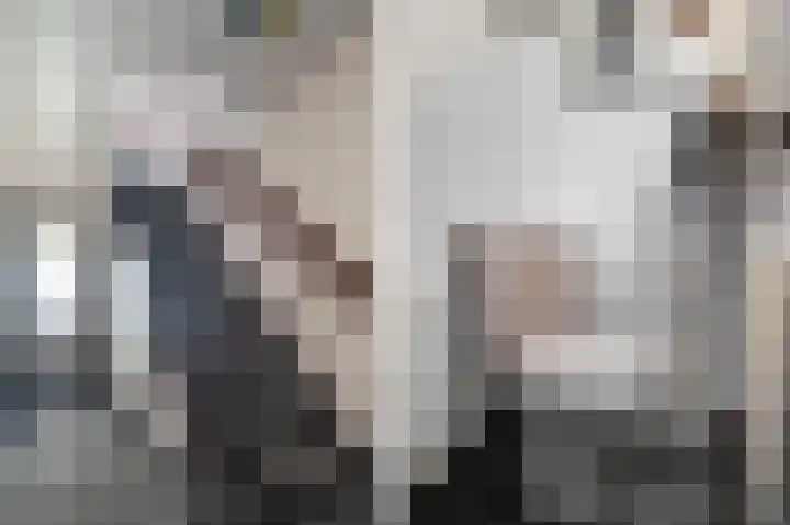 Parallelweg 3 Hunsel thumbnail 6