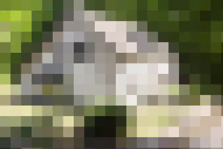 Parallelweg 3 Hunsel thumbnail 6