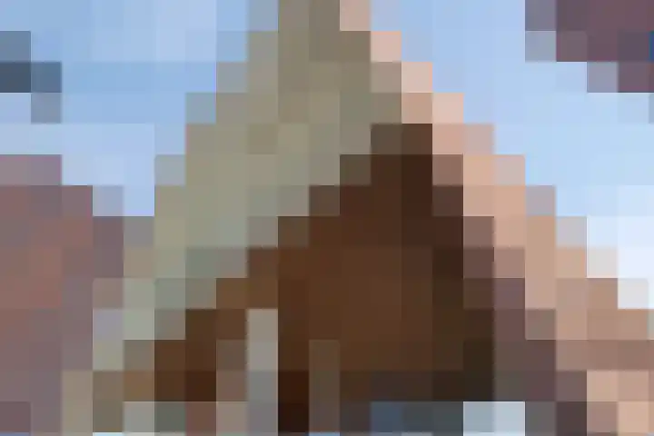 Parallelweg 3 Hunsel thumbnail 7