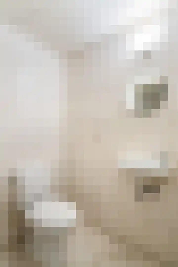 Parallelweg 33 Weert thumbnail 32