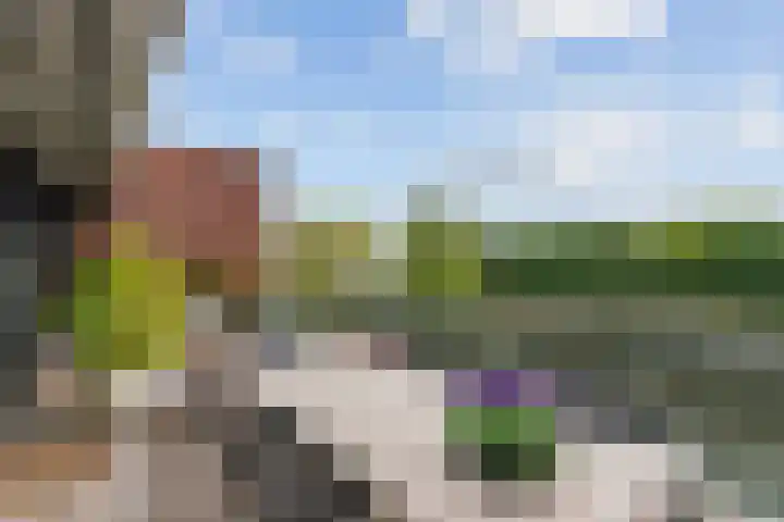 Parallelweg 39 Oirschot thumbnail 16