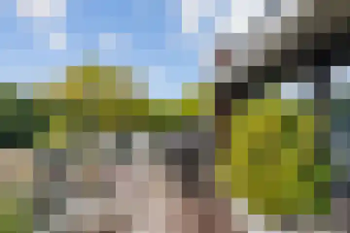 Parallelweg 39 Oirschot thumbnail 17