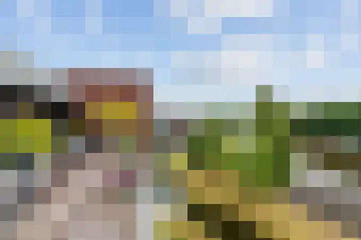 Parallelweg 39 Oirschot thumbnail 18