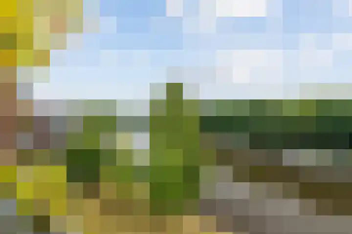 Parallelweg 39 Oirschot thumbnail 19
