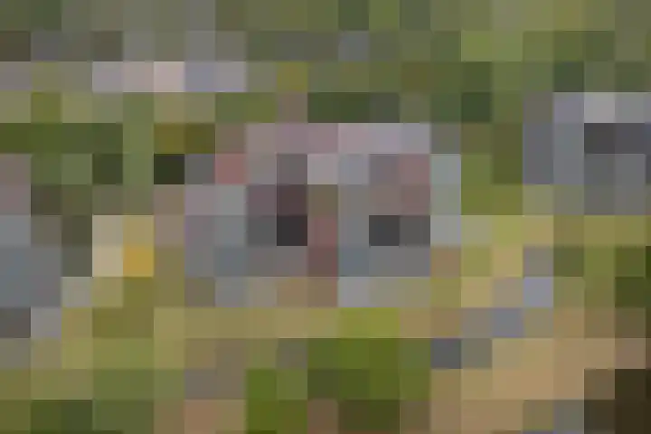 Parallelweg 39 Oirschot thumbnail 34