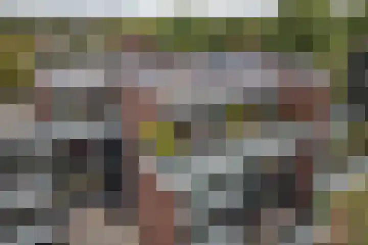 Parallelweg 39 Oirschot thumbnail 35