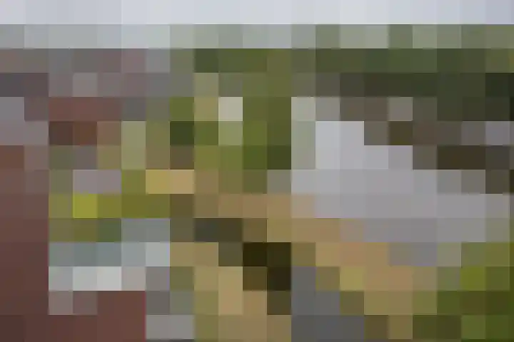 Parallelweg 39 Oirschot thumbnail 36