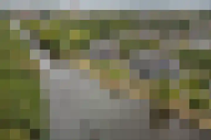 Parallelweg 39 Oirschot thumbnail 37