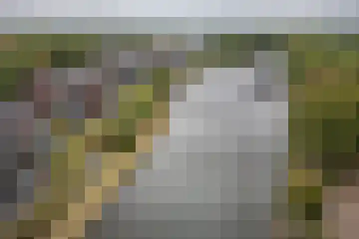 Parallelweg 39 Oirschot thumbnail 38