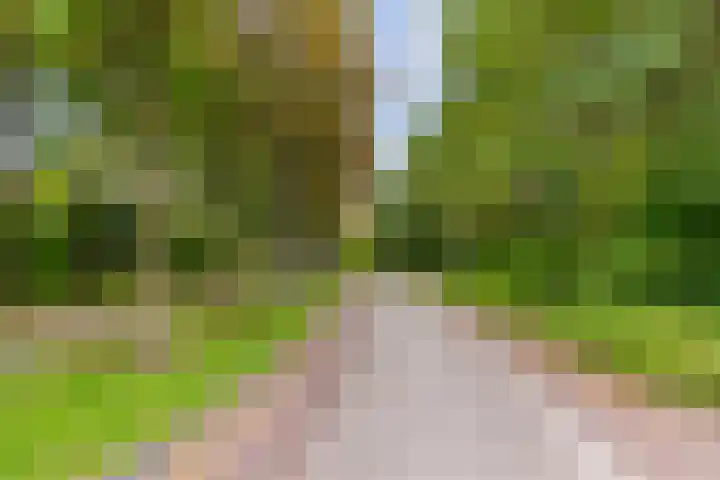 Parallelweg 39 Oirschot thumbnail 40