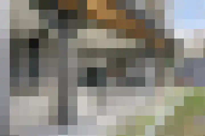 Parallelweg 40 De Krim thumbnail 44