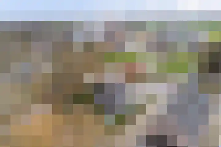 Parallelweg 40 De Krim thumbnail 48