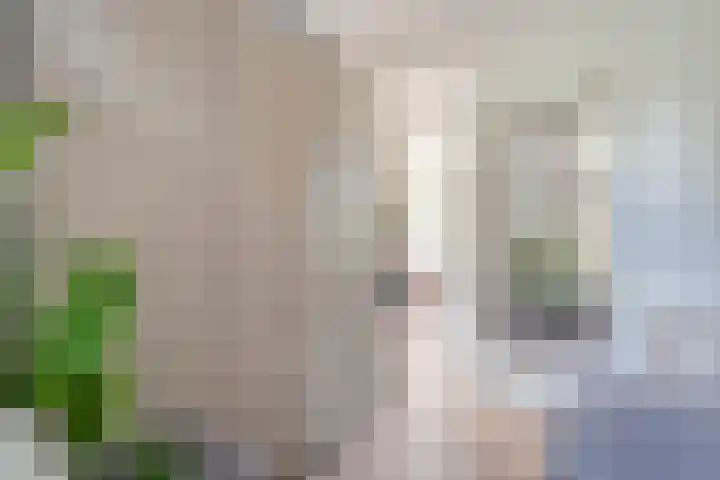 Parallelweg 5 Meppel thumbnail 10