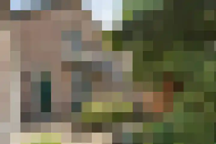 Parallelweg 5 Meppel thumbnail 13