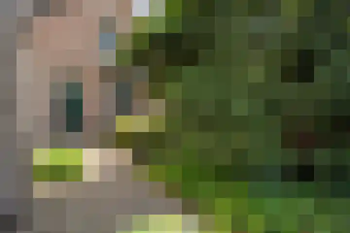 Parallelweg 5 Meppel thumbnail 14