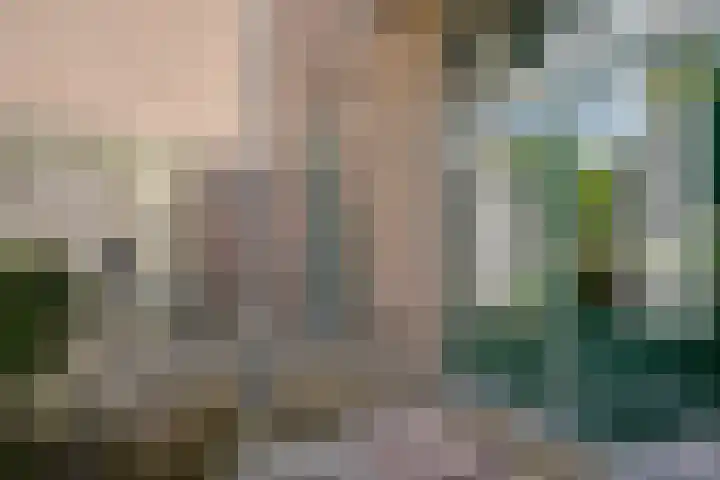 Parallelweg 5 Meppel thumbnail 16