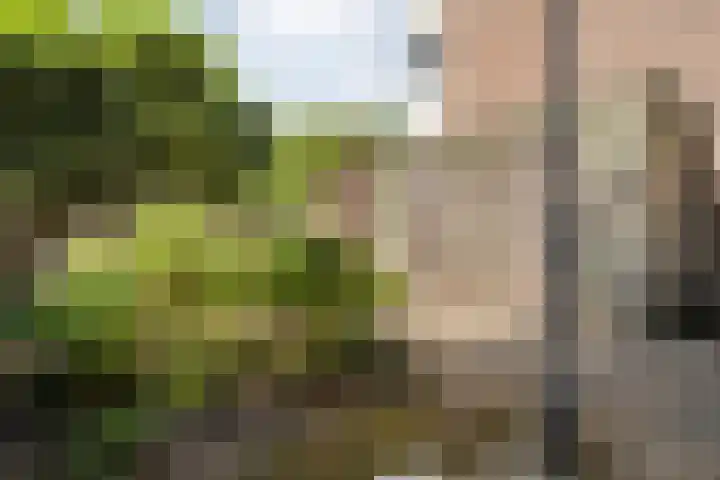 Parallelweg 5 Meppel thumbnail 17