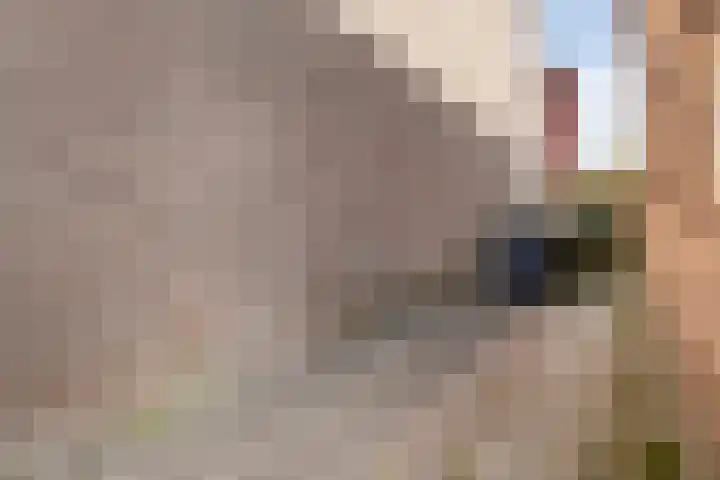 Parallelweg 5 Meppel thumbnail 18