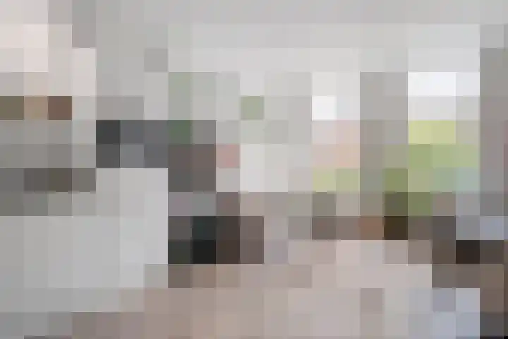 Parallelweg 5 Meppel thumbnail 6