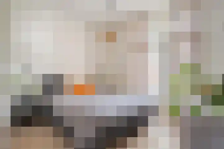 Parallelweg 5 Meppel thumbnail 8