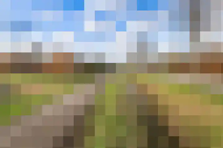 Parallelweg 56 Giessen thumbnail 38