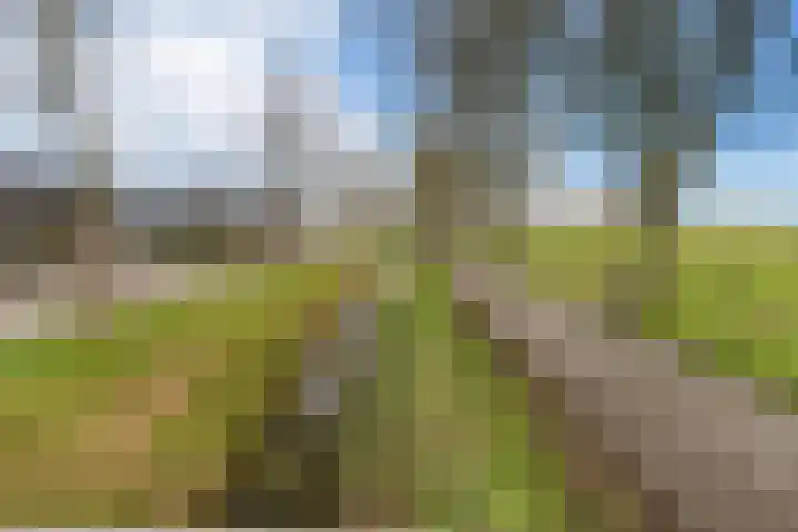 Parallelweg 56 Giessen thumbnail 39