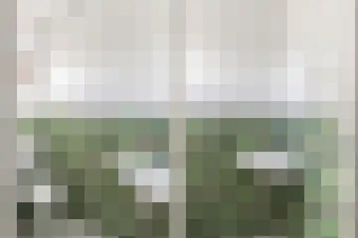 Parallelweg 56 Giessen thumbnail 7