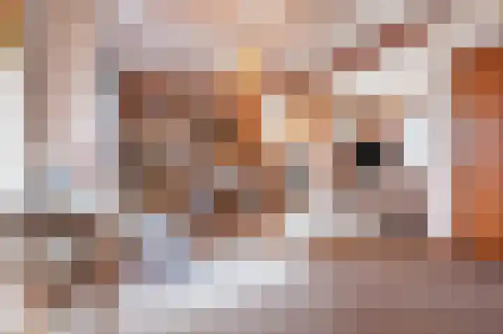 Parallelweg 57 Geldrop thumbnail 10