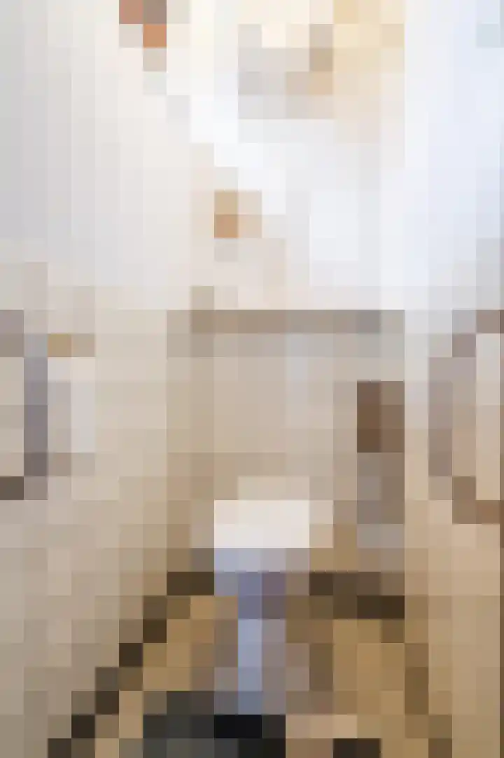 Parallelweg 57 Geldrop thumbnail 19