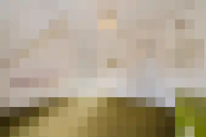 Parallelweg 57 Geldrop thumbnail 26
