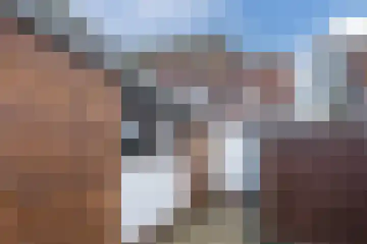Parallelweg 57 Geldrop thumbnail 45