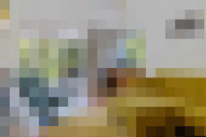 Parallelweg 59 Glimmen thumbnail 13