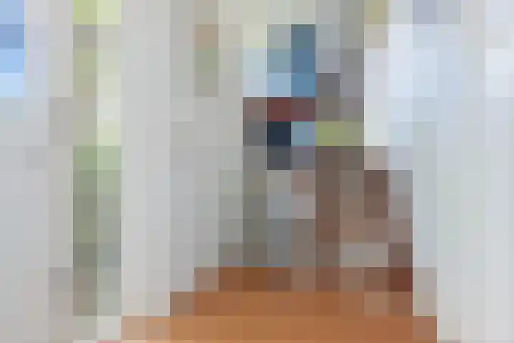 Parallelweg 59 Glimmen thumbnail 20