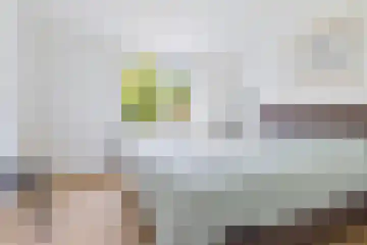 Parallelweg 59 Glimmen thumbnail 22