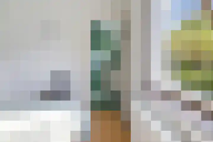 Parallelweg 59 Glimmen thumbnail 23