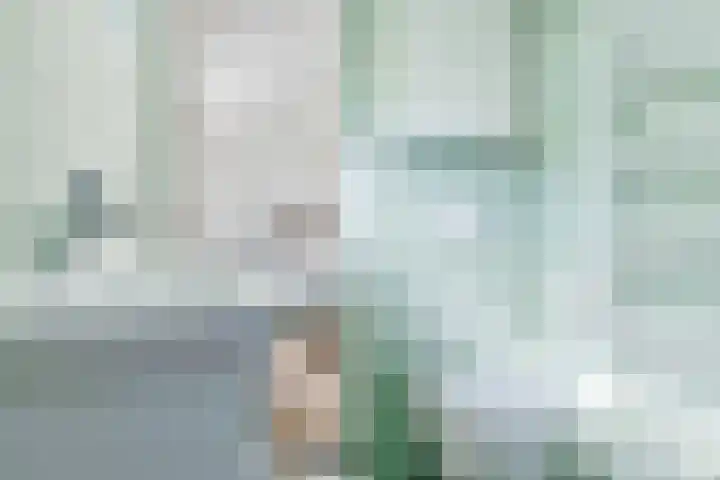 Parallelweg 59 Glimmen thumbnail 25
