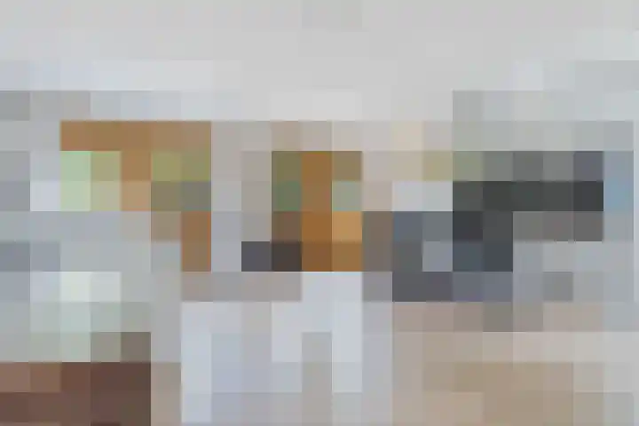 Parallelweg 59 Glimmen thumbnail 30