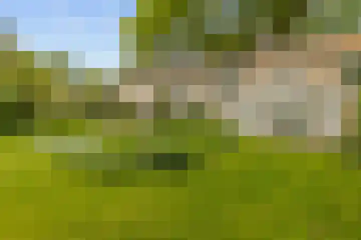 Parallelweg 59 Glimmen thumbnail 33